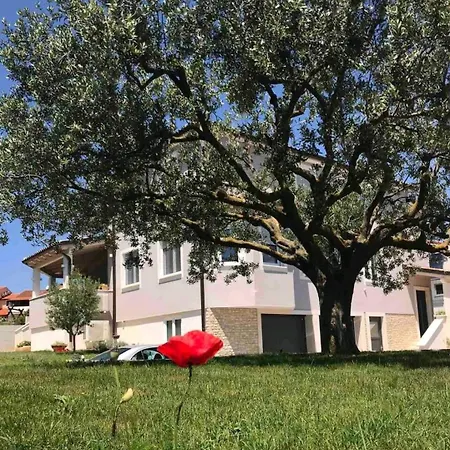 Melisa 아파트 풀라